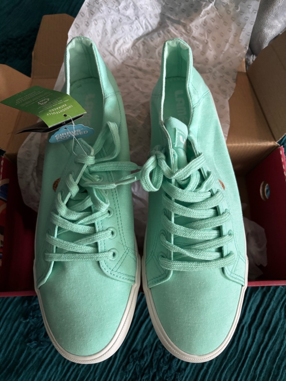 Lamo Baja Mint Green Canvas Women's Lace-Up Sneakers